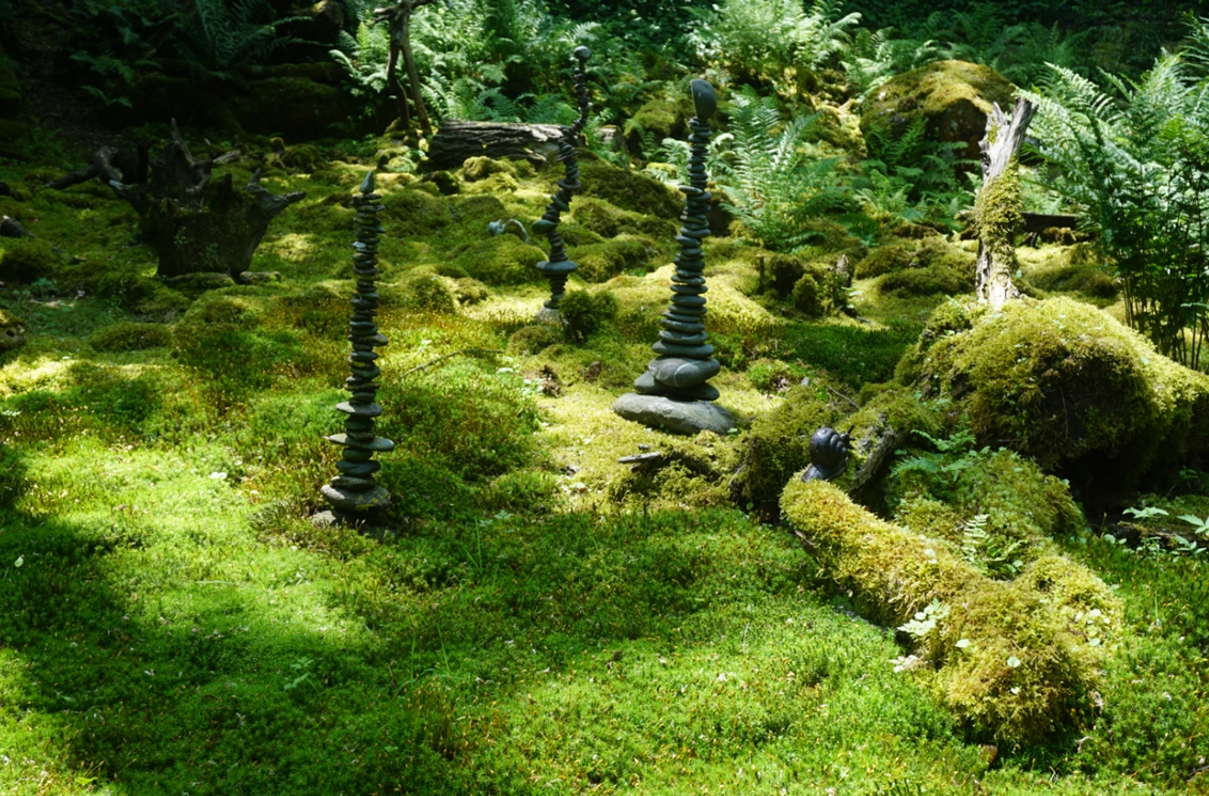 Hier bei uns - Angebote in Staudernheim