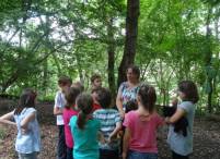 Naturerlebnis und Natur-Kindergeburtstag mit Ursula Altmoos - kreativ und spannend Nahe der Natur