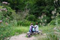 Stille Beobachtungen im Schmetterlingsparadies 'Nahe der Natur' Staudernheim